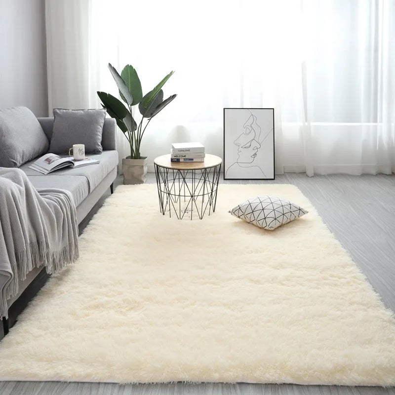 Washable Long Hair Carpet Living Room